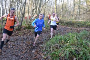 Chris Warren at Halstead