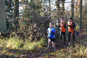 Harrison Leek at Halstead