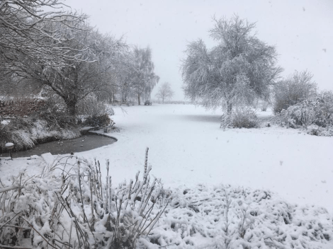 Snow