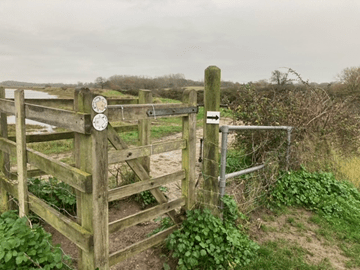 This image has an empty alt attribute; its file name is image.png